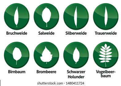 vector illustrations of a many foliage leaves isolated