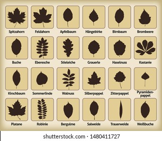 vector illustrations of a many foliage leaves isolated