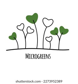 Vector illustrations of Microgreens Icons Isolated on White Background. Decorative element for your design.