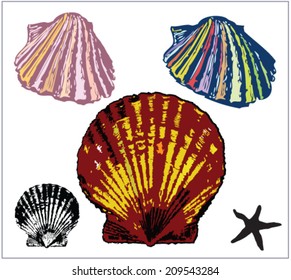 vector illustrations of mussels and clams