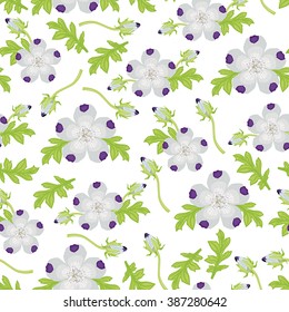 Vector illustrations of nemofila flowers and buds pattern seamless isolated white background