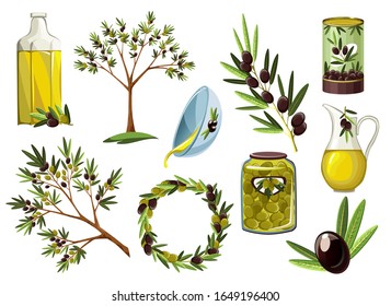 Vector illustrations for olive oil labels