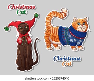 Vector illustrations on the pets theme: Christmas cats in clothes. Cartoon character. Domestic animal. 