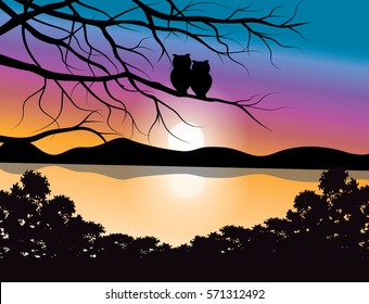 Vector illustrations ,Owl with a beautiful sunset