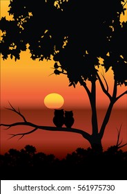 Vector illustrations , The Owl and the beautiful sunsets.