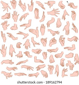 Vector illustrations pack of woman hands in various gestures. 
