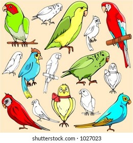 Vector illustrations of parrots in color, and black and white renderings.
