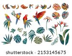 Vector illustrations of parrots, tropical leaves, bananas. Modern exotic design. Clipart, isolated elements.