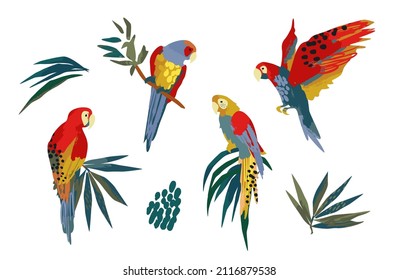 Vector illustrations of parrots and tropical leaves. Modern exotic design. Clipart, isolated elements.