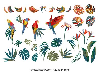 Vector illustrations of parrots, tropical leaves, bananas. Modern exotic design. Clipart, isolated elements. - Shutterstock ID 2153145675