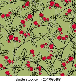 Vector illustrations of pattern seamless of wild forest ripe Stone berry and leaves. Beautiful food and nature design elements, perfect for prints and patterns