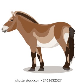 Vector illustrations of people, animals, plants, and characters. Individual images and groups.