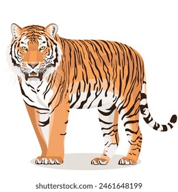 Vector illustrations of people, animals, plants, and characters. Individual images and groups.