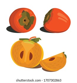 Vector illustrations of persimmons of two varieties and from different angles.