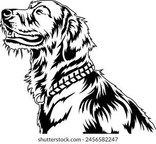 Vector illustrations of pets and domestic animals. Black liner with a transparent background. Can be used to create logos, advertising materials, pet products, posters, symbols of veterinary clinics, 