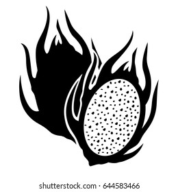 Vector illustrations of pitahaya fruit
