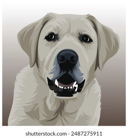 vector illustrations of portraits of dogs on a colored background. wall art print poster