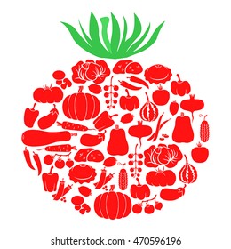 Vector illustrations of red tomato icon of vegetables isolated on white background