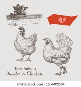 Vector illustrations of rooster, chicken and countryside. Etching style