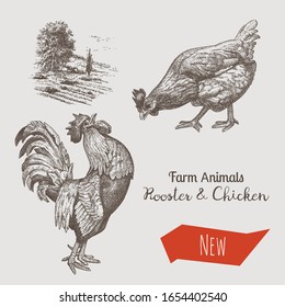 Vector illustrations of rooster, chicken and countryside. Etching style