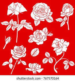 Vector illustrations of roses decorative rose flower set on red background