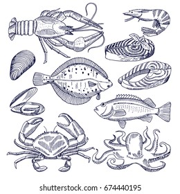 Vector illustrations of sea food for restaurant gourmet kitchen. Oysters, lobsters and fishes. Pictures for design menu