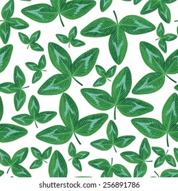 Vector illustrations of  seamless pattern of clover green leaves