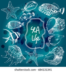 Vector illustrations of seashells, starfish and tropical fish. Marine set. Perfect for invitations, greeting cards, postcard, posters, prints, banners. All elements are isolated and editable.