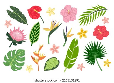 Vector illustrations set of bright tropical flowers and leaves. Exotic plants collection. Botanical summer clipart