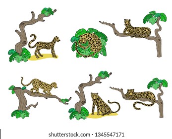 Vector illustrations set of cute leopards on tropical trees and in leaves isolated on white background. With floral elements. Doodle hand drawn flat picture in trendy style
