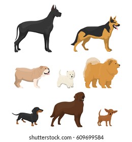 Vector illustrations set of different kinds of dog on white background.