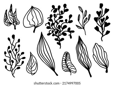 Ilustraciones vectoriales - un conjunto de flores gráficas, plantas. 11 elementos de diseño de boceto dibujados a mano. Perfecto para crear impresiones, patrones, tatuajes, etc.