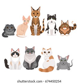 Vector illustrations set of many different kittens. Cats characters in cartoon style