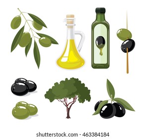 vector illustrations set of Olives, tree, oil botles and leaf isolated on white background. Pictures for your personal design project.