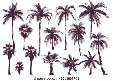 Vector illustrations Set realistic black silhouettes isolated tropical palm trees on a white background