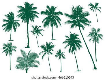 Vector illustrations Set realistic black silhouettes isolated tropical palm trees on a white background