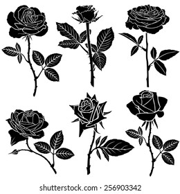 Vector illustrations of set silhouette of  beautiful roses flower