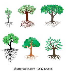 Vector illustrations of set of trees with green leaves