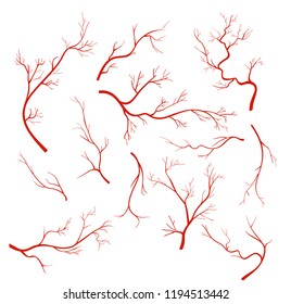 Vector illustrations set of veins and vessel, red capillaries, blood arteries isolated on white background.