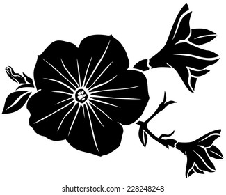 Vector illustrations of silhouette of beautiful petunia flower 