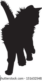 Vector illustrations of silhouette of a cat