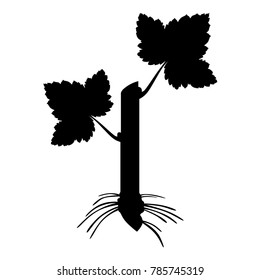 Vector illustrations of silhouette currant stalk with roots