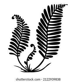 Vector Illustrations Of Silhouette Of Fern Icon