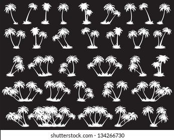 vector illustrations silhouette of palm trees. A set of white trees on a black background