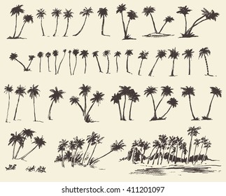 Vector illustrations silhouette of palm trees, hand drawn, sketch