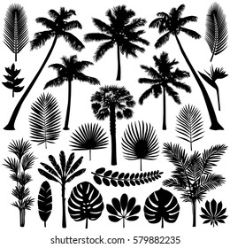 Vector illustrations silhouette of palm trees, leaves and flowers. Tropical collection isolated on white background.