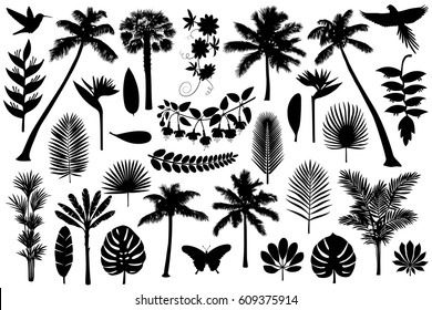 Vector illustrations silhouette of palm trees, leaves, birds and flowers. Tropical collection isolated on white background.