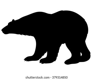 Vector illustrations of silhouette polar bear isolated