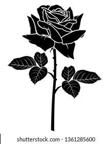 Vector illustrations of silhouette of a rose flower. Red Devil variety

