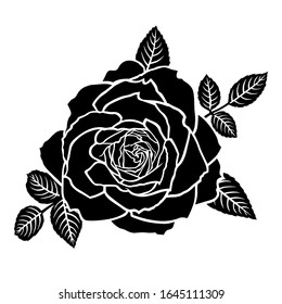 Vector Illustrations Silhouette Rose Flower Stock Vector (Royalty Free ...